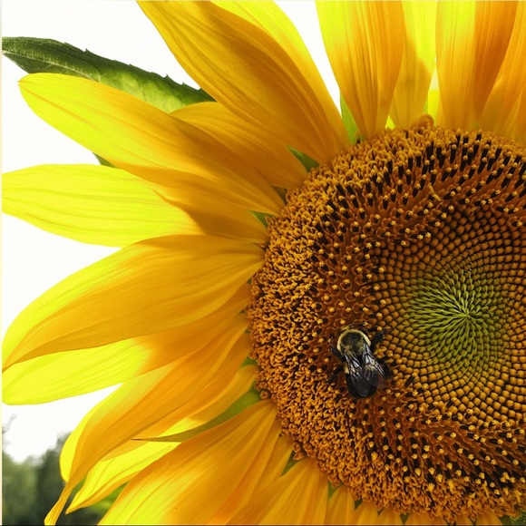 LIKE THIS + BOOKMARK MY CLOSET 🖤 - Picture 4 of 10